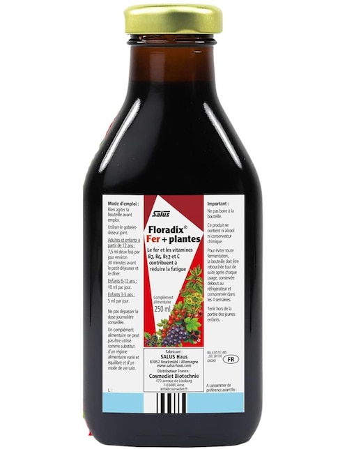 Floradix + H Salus Flora Salus sabor frutal de 250 ml