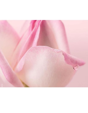 Limpiador facial Nuxe Very Rose para desmaquillar