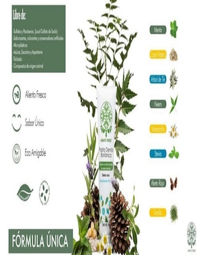 Pasta Dental Amate Verde Sin Flour