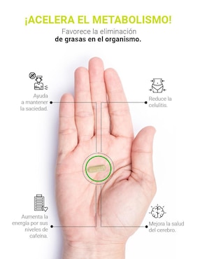 Suplemento Alimenticio B Life Café Verde Puro