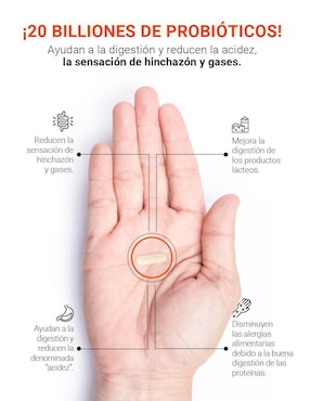 Suplemento Alimenticio B Life Enzimas Digestivas