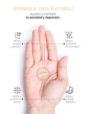Suplemento Alimenticio B Life Hongo de Melena de León