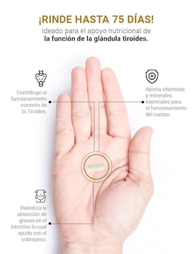 Suplemento Alimenticio B Life Tiroides