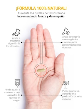 Suplemento Alimenticio B Life Fenogreco