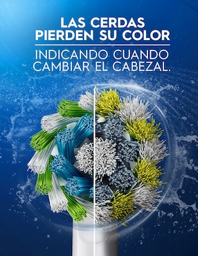 Cepillo de dientes eléctrico Oral B Power