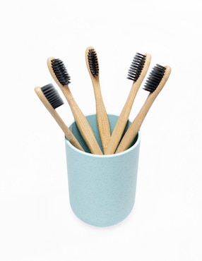 Cepillo de dientes Ecowood