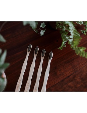 Cepillo de dientes Ecowood
