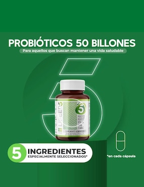 Probióticos 50 Billones, Prebióticos, Enzimas Digestivas, Vitamina C y Zinc LIFEED5 Lifeed5 con enzimas digestivas y probióticos