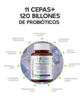 Probióticos 120 billones y 11 cepas inulina de agave y aloe vera Megabiotic con enzimas digestivas y probióticos de 540 mg