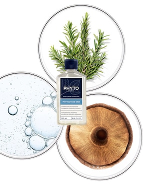 Shampoo anticaída para cabello Complemento Phyto 250 ml