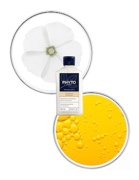 Shampoo hidratante para cabello Nourishment Nutritivo Phyto 250 ml
