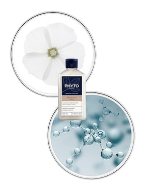 Shampoo reparador para cabello dañado y quebradizo Phyto 250 ml