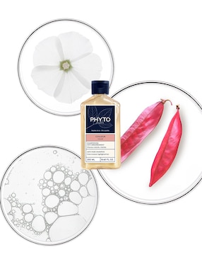 Shampoo protector de color para cabello péptidos de arroz Phyto 250 ml