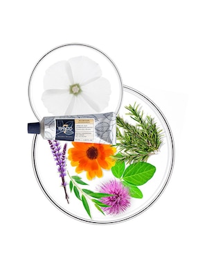 Crema para todo tipo de cabello Phyto para suavizar