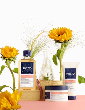 Mascarilla hidratante para cabello teñido Phyto