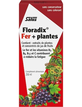 Floradix + H Salus Flora Salus sabor frutal de 250 ml
