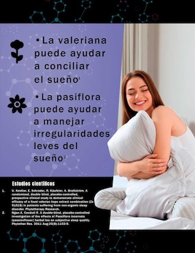 Dreams Natural Smart Nutrition con l-teanina de 90 cápsulas