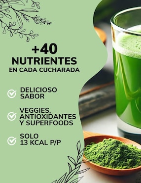 Green Mix, Jugo Verde Té Matcha, Clorofila, Enzimas Digestivas, Probióticos Bloom Quotidien sabor frutos rojos de 150 g