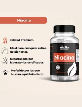 Niacina Vit & Skn Nutrition Company de 60 cápsulas