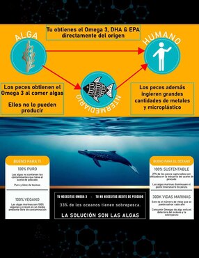 Omega Algae 3 Natural Smart Nutrition con omega 3, epa y dha de 90 cápsulas