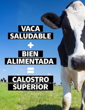 Calostro Bovino Grass Fed 30% Beyond Vitamins de 108 g