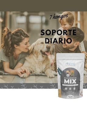 Mushroom Mix en Polvo Naima con reishi, chaga, melena de león, maitake, shiitake, cola de pavo y cordyceps sabor natural de 100 g
