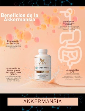 Akkermansia Booster GLP 1 Natural Smart Nutrition con berberina de 60 cápsulas