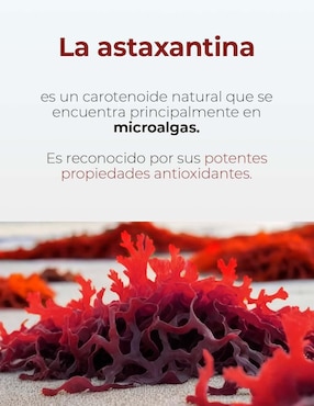 Astaxantina + Aceite de Coco MAKLEN Maklen de 90 cápsulas