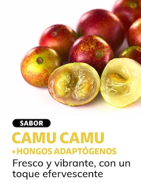 Electro Mix con Hongos Adaptógenos Beyond Vitamins sabor camu camu de 180 g