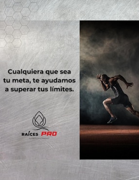 L-Carnitina Super Premium Raíces Pro Raíces Zen con l-carnitina de 100 cápsulas