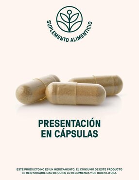 Cola de Pavo Mushrooms Life360+ con cola de pavo
