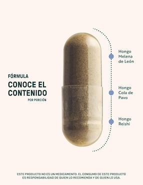 Zen Blend Mushrooms Life360+ con melena de león, reishi y cola de pavo