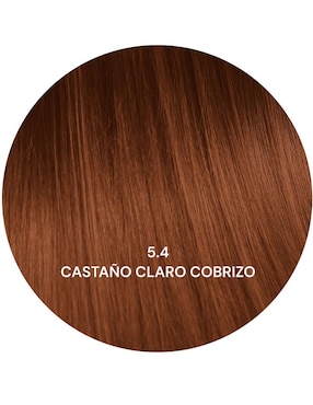 Tinte para cabello Phytoblue tono 5.4 castaño claro cobre