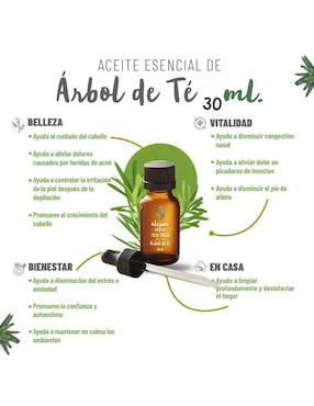 Aceite Esencial Oleum Vitae de árbol de té 30 ml