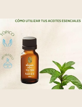 Aceite Esencial Oleum Vitae de árbol de té 30 ml