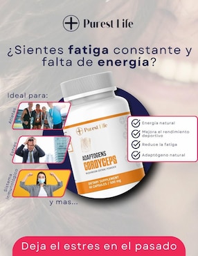 Cordyceps antioxidante Fit Nutrition cápsulas