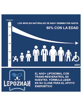 Liposomal Nad+ Trans Resveratrol Lepoznan de 60 cápsulas