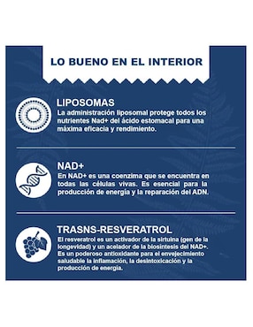 Liposomal Nad+ Trans Resveratrol Lepoznan de 60 cápsulas