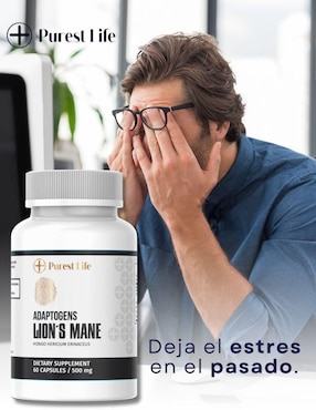 Lion’s Mane vitamina Fit Nutrition cápsulas