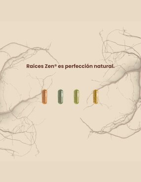 Schisandra Raíces Zen Raíces Zen de 60 cápsulas