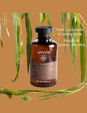 Shampoo dermatológico caspa grasa para cabello contra la caspa grasa Apivita Oily Dandruff 250 ml