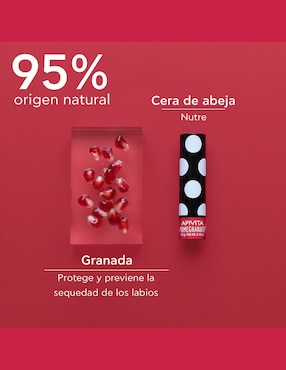 Pomada Lip Care Apivita