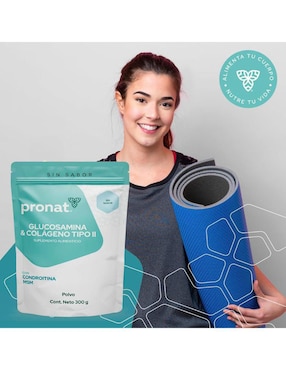 Glucosamina & Colágeno Tipo II - Pronat Pronat de 300 g