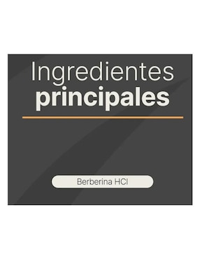 Berberina Pura Suplemento Alimenticio B Life 180 cápsulas