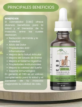 Aceite CBD Mascotas Ideas Verdes