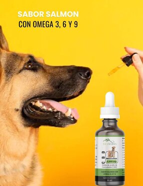Aceite CBD Mascotas Ideas Verdes