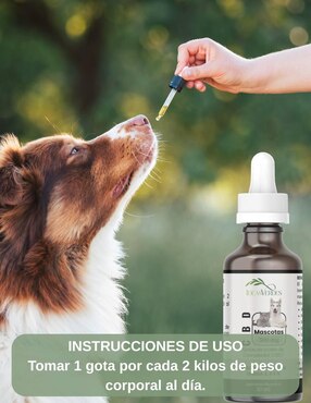 Aceite CBD Mascotas Ideas verdes