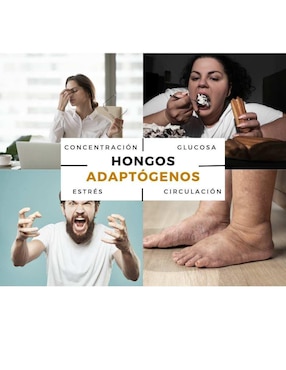 Hongos adaptógenos Instanutra con hongo de melena de león de 90 cápsulas