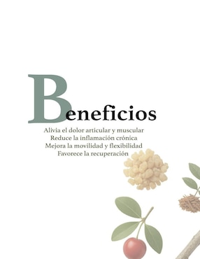 Herbal joint care suplemento dietético salud articular y movilidad Herbal Secrets con boswellia serrata y celulosa vegetal de 120 cápsulas