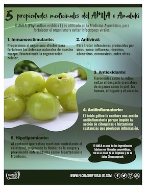 Suplemento alimenticio amla amalaki sana terra Sana Terra con amla phyllanthus emblica de 120 cáp